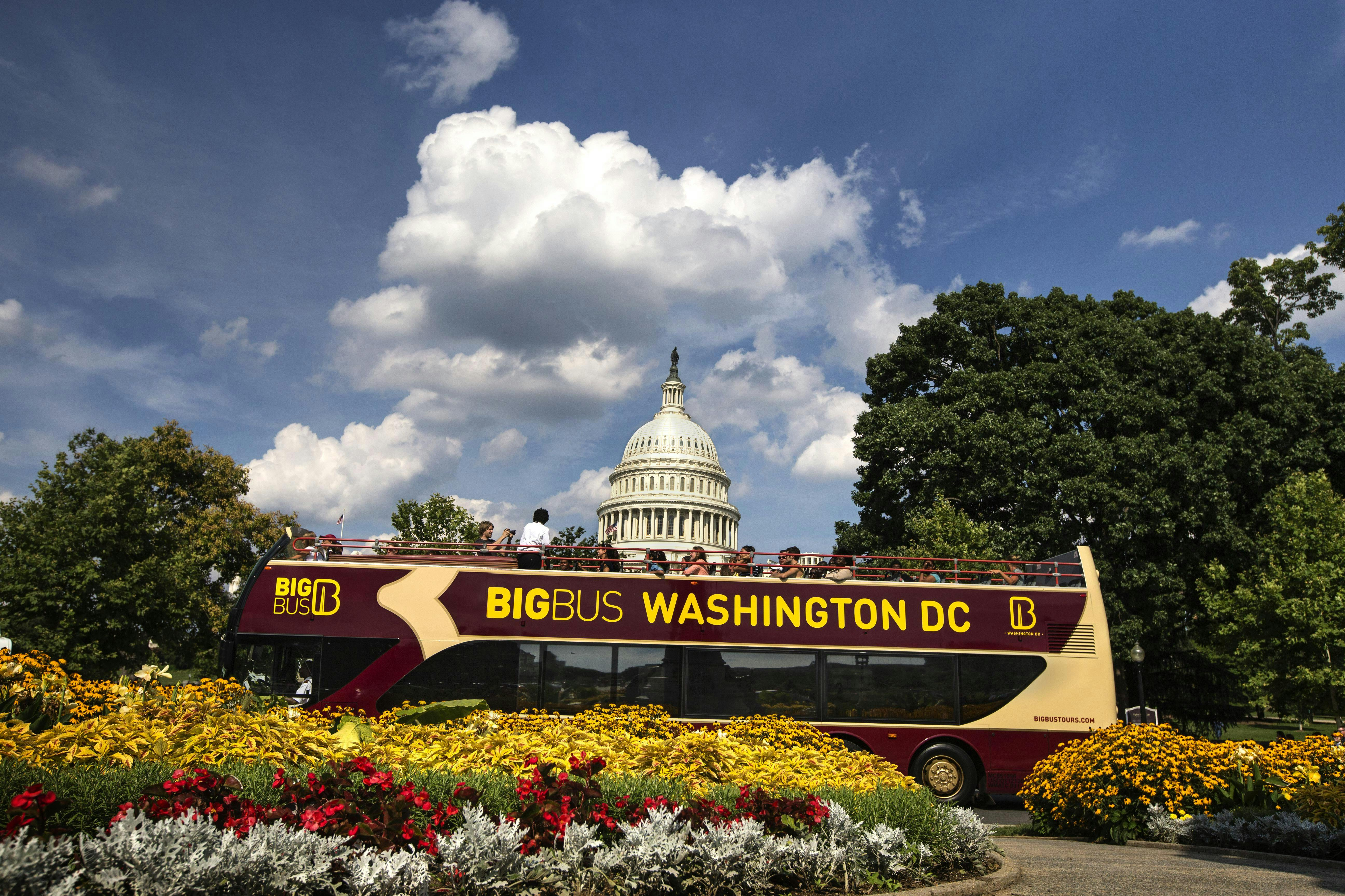 Big Bus Washington DC: Guided Sunset Bus & Walking Tour - Photo 1 of 7